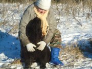 Превью фото № 196100