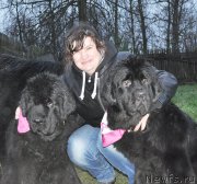 Превью фото № 196278