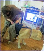 Превью фото № 196287