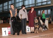 Превью фото № 196336