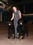 Превью фото № 196339