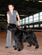 Превью фото № 196340