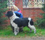 Превью фото № 19637