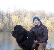 Превью фото № 196385