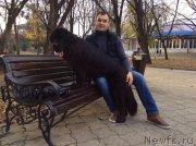 Превью фото № 196399