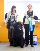 Превью фото № 196429