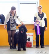 Превью фото № 196431