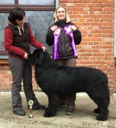 Превью фото № 196443