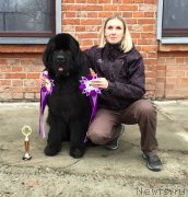 Превью фото № 196445