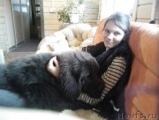 Превью фото № 196481