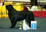 Превью фото № 196489