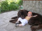 Превью фото № 196523