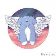 Превью фото № 196611