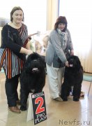 Превью фото № 196644