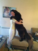 Превью фото № 196667