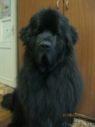 Превью фото № 196669