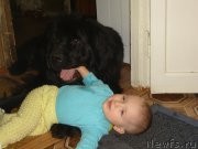 Превью фото № 196697