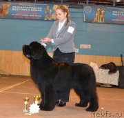 Превью фото № 196721