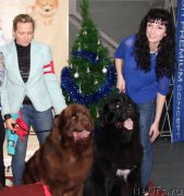 Превью фото № 196727