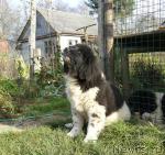 Превью фото № 19674