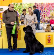 Превью фото № 196748