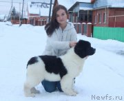 Превью фото № 196760