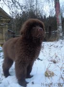 Превью фото № 196765