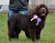 Превью фото № 196843