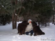 Превью фото № 196852