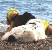 Превью фото № 196907