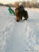 Превью фото № 196919