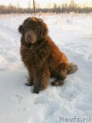 Превью фото № 196921