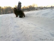 Превью фото № 196922