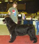 Превью фото № 197