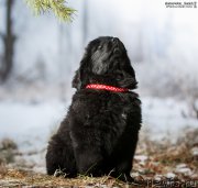 Превью фото № 197042