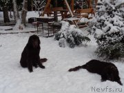 Превью фото № 197165