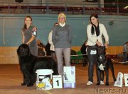 Превью фото № 197176