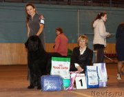 Превью фото № 197177