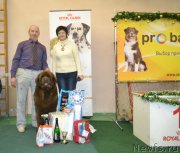 Превью фото № 197205