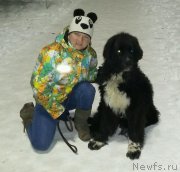 Превью фото № 197232