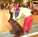 Превью фото № 19727