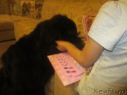 Превью фото № 197306