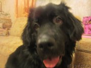 Превью фото № 197308