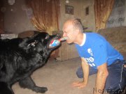 Превью фото № 197314