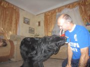 Превью фото № 197315