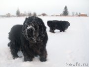 Превью фото № 197422