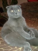 Превью фото № 197435