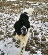 Превью фото № 197446