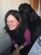 Превью фото № 197448