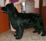 Превью фото № 19745